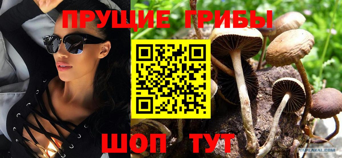 Псилоцибиновые грибы ЛСД  Галлюциногенные грибы мухоморы  Вход с VPN  Старая Купавна 